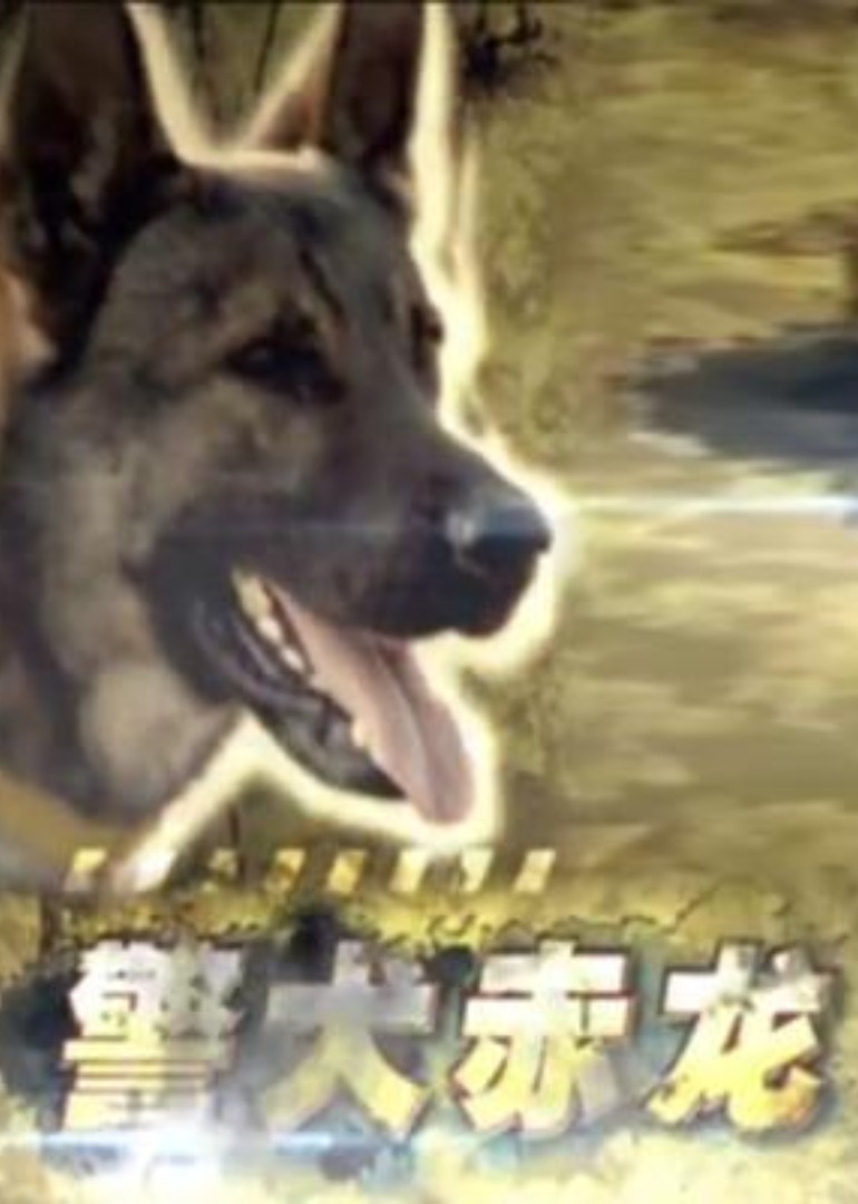 警犬赤龙2012海报
