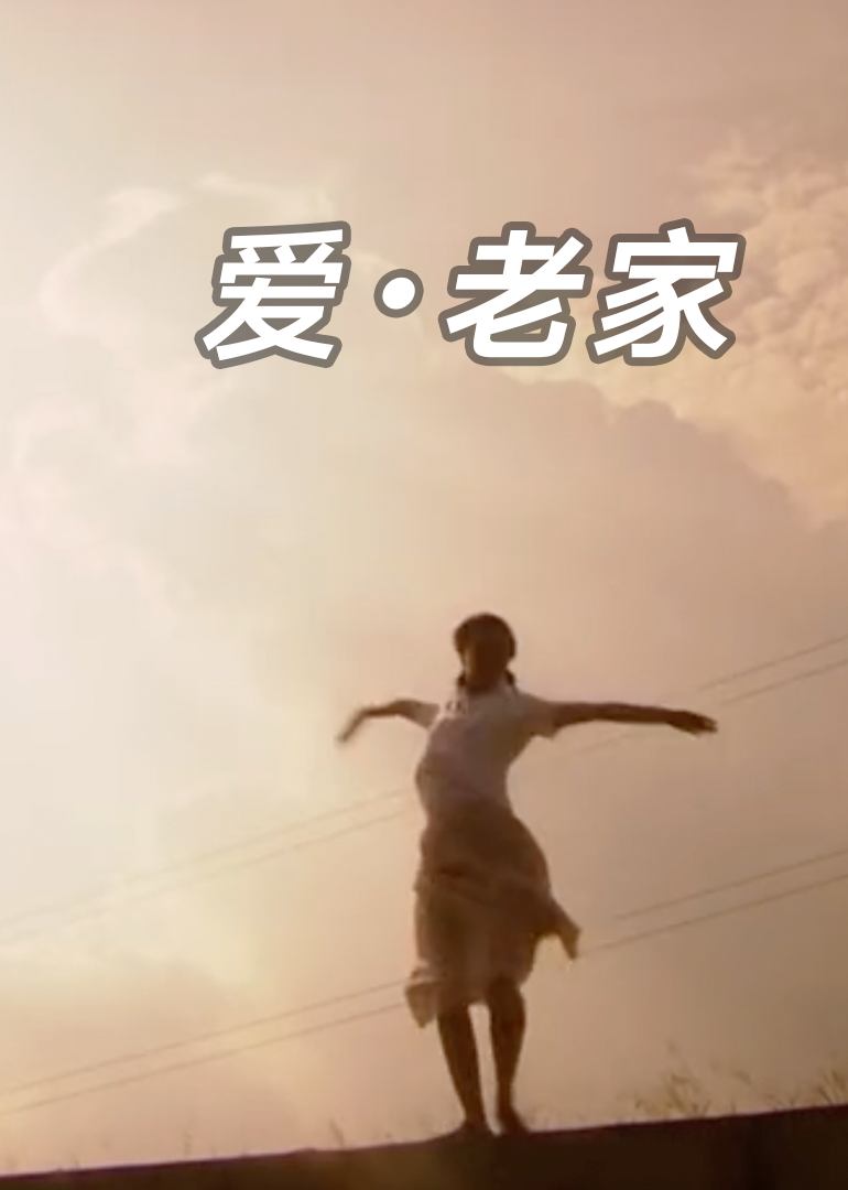 爱·老家海报