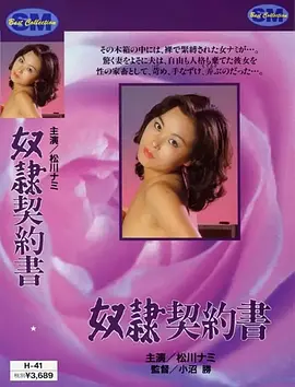 奴隶契约书海报