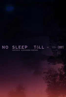 一夜无眠海报