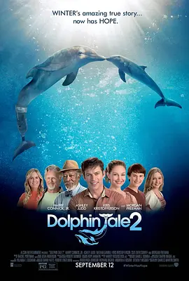 海豚的故事2海报