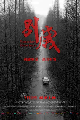 别岁2019海报