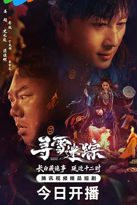 寻雪迷踪海报