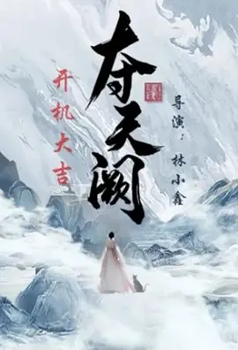 夺天阙海报