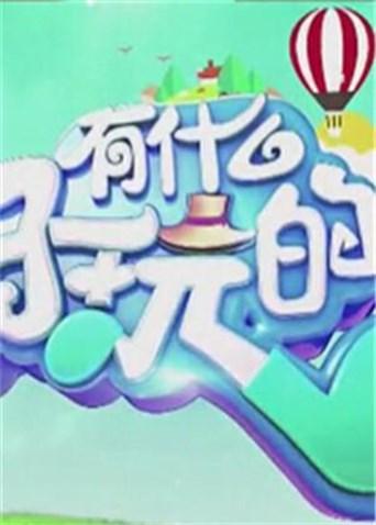 有什么好玩的2018海报