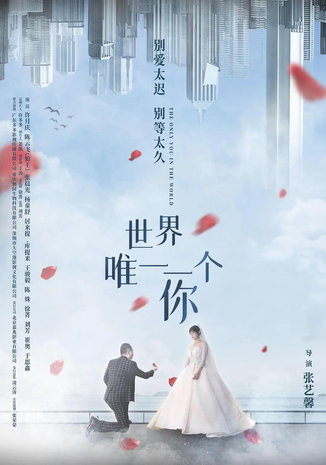 世界唯一一个你海报