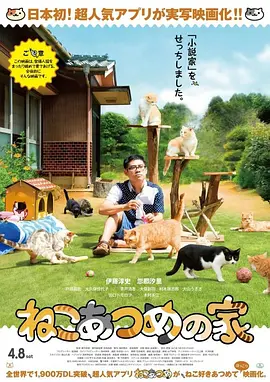 猫咪后院之家海报