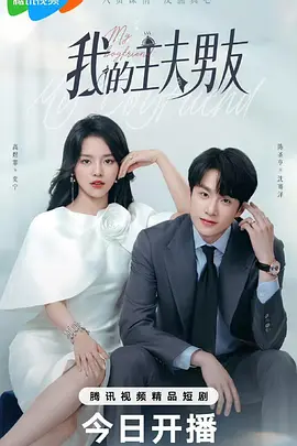 我的主夫男友海报