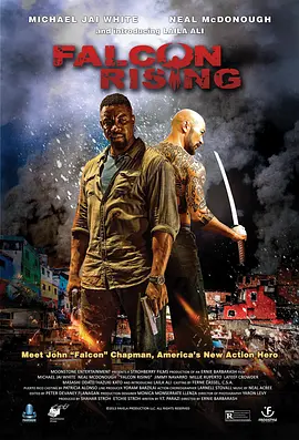猎鹰突起[电影解说]海报