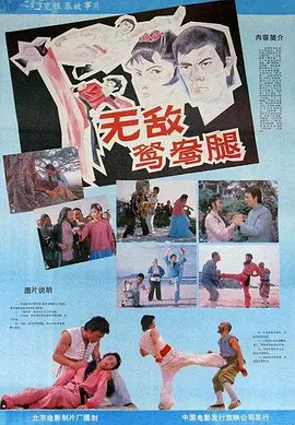 无敌鸳鸯腿[电影解说]海报