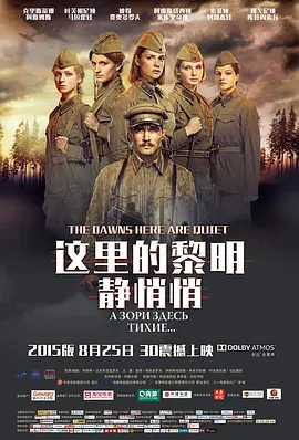这里的黎明静悄悄2015[电影解说]海报