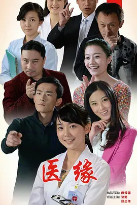 医缘2015海报