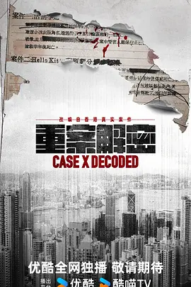 重案解密国语海报