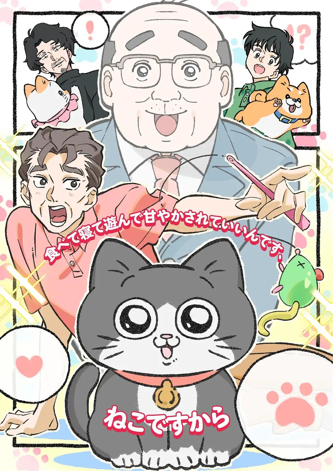 转生成猫的大叔海报