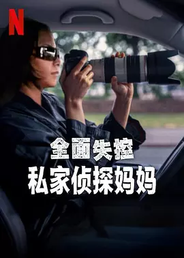 全面失控:私家侦探妈妈海报