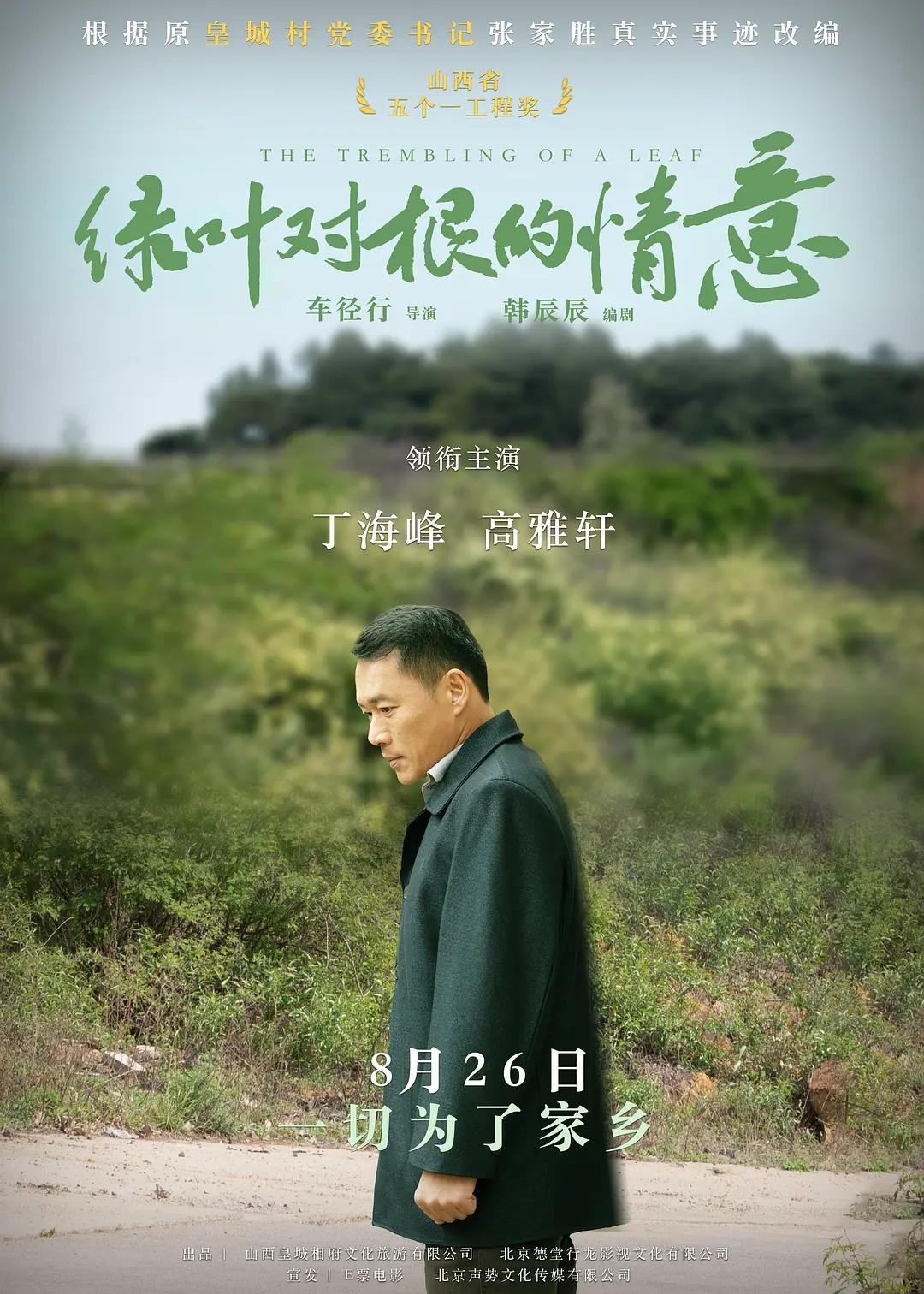 绿叶对根的情意海报