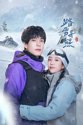 踏雪寻熊海报