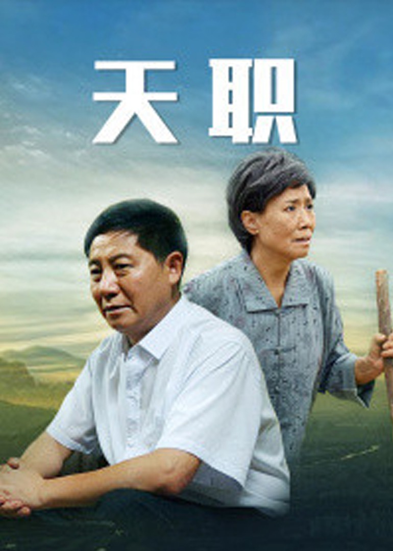 天职2013海报