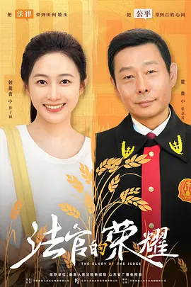 法官的荣耀海报
