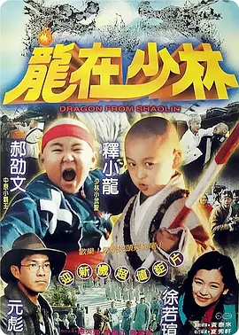 龙在少林[电影解说]海报