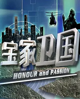 宝家卫国海报