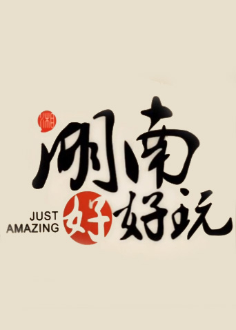湖南好好玩2016海报