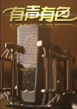 有声有色海报