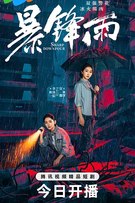 暴锋雨海报