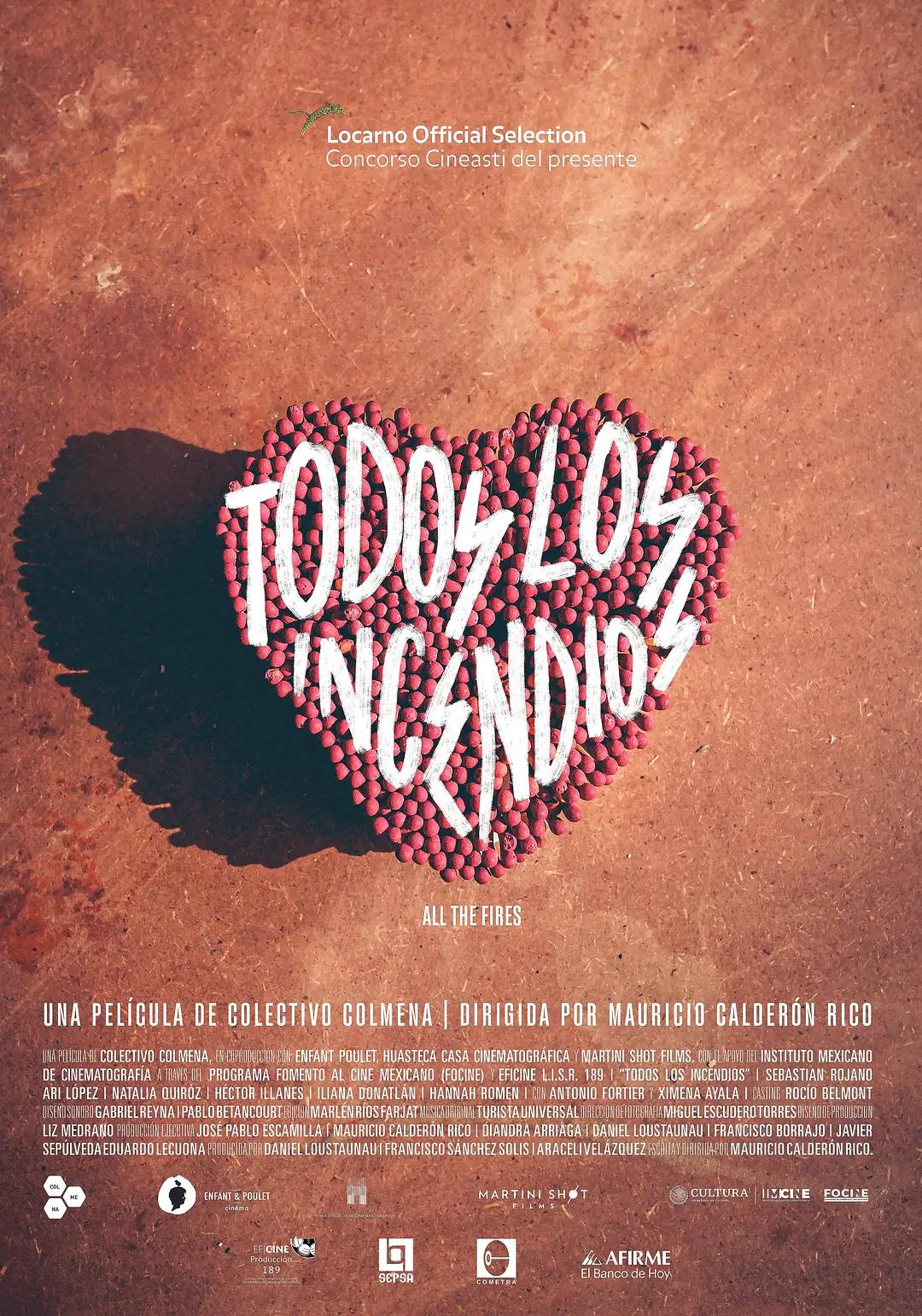 不羁火海报