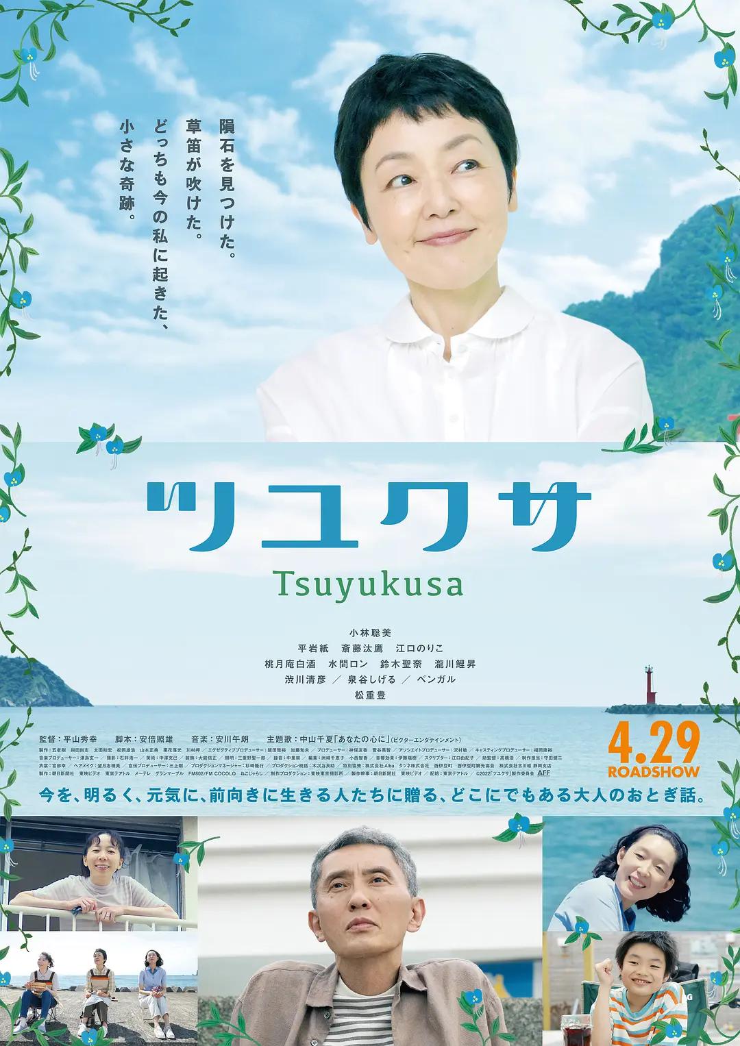 鸭跖草海报