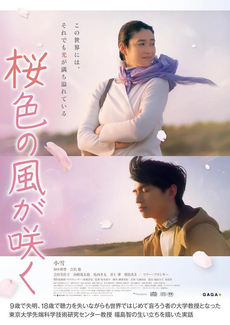 风临樱花开海报