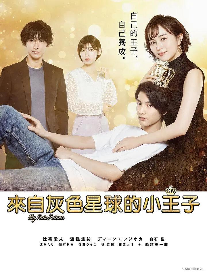 我推的王子海报