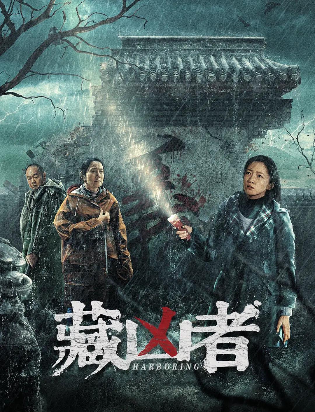 藏凶者海报