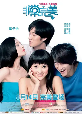 非常完美[电影解说]海报