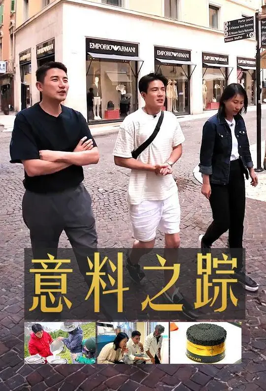 意料之踪海报