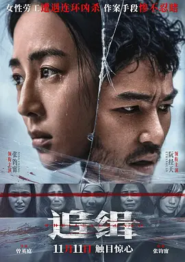 追缉2022[电影解说]海报
