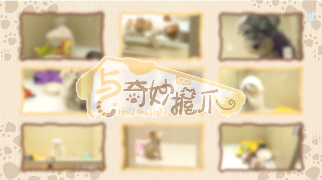 与奇妙握爪海报