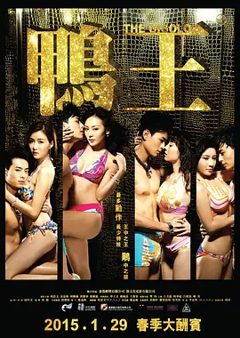 鸭王[电影解说]海报