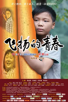 飞扬的青春2012海报