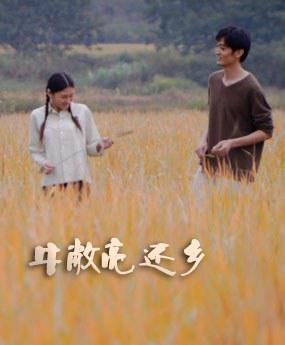 牛敞亮还乡海报