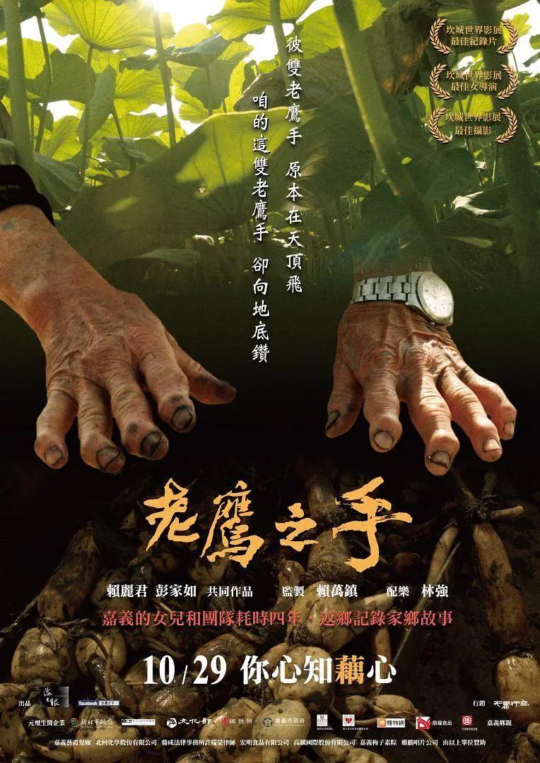 老鹰之手海报