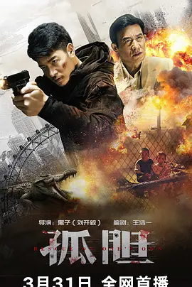 孤胆[电影解说]海报