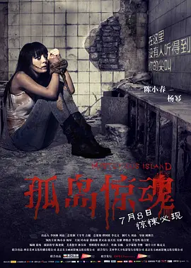 孤岛惊魂2011[电影解说]海报