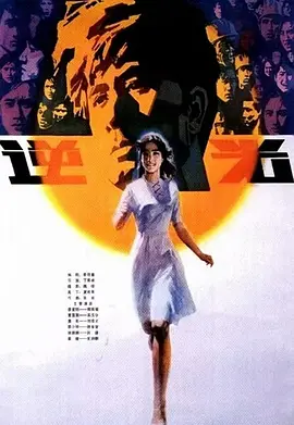 逆光1982[电影解说]海报