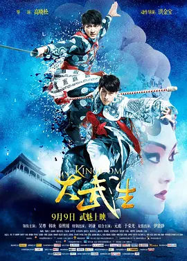 大武生[电影解说]海报