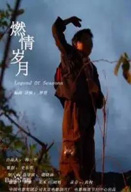燃情岁月2006海报
