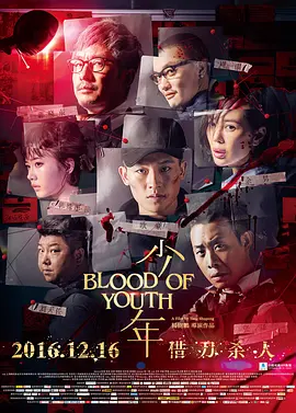 少年2016海报