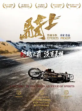 鄂尔多斯骑士海报