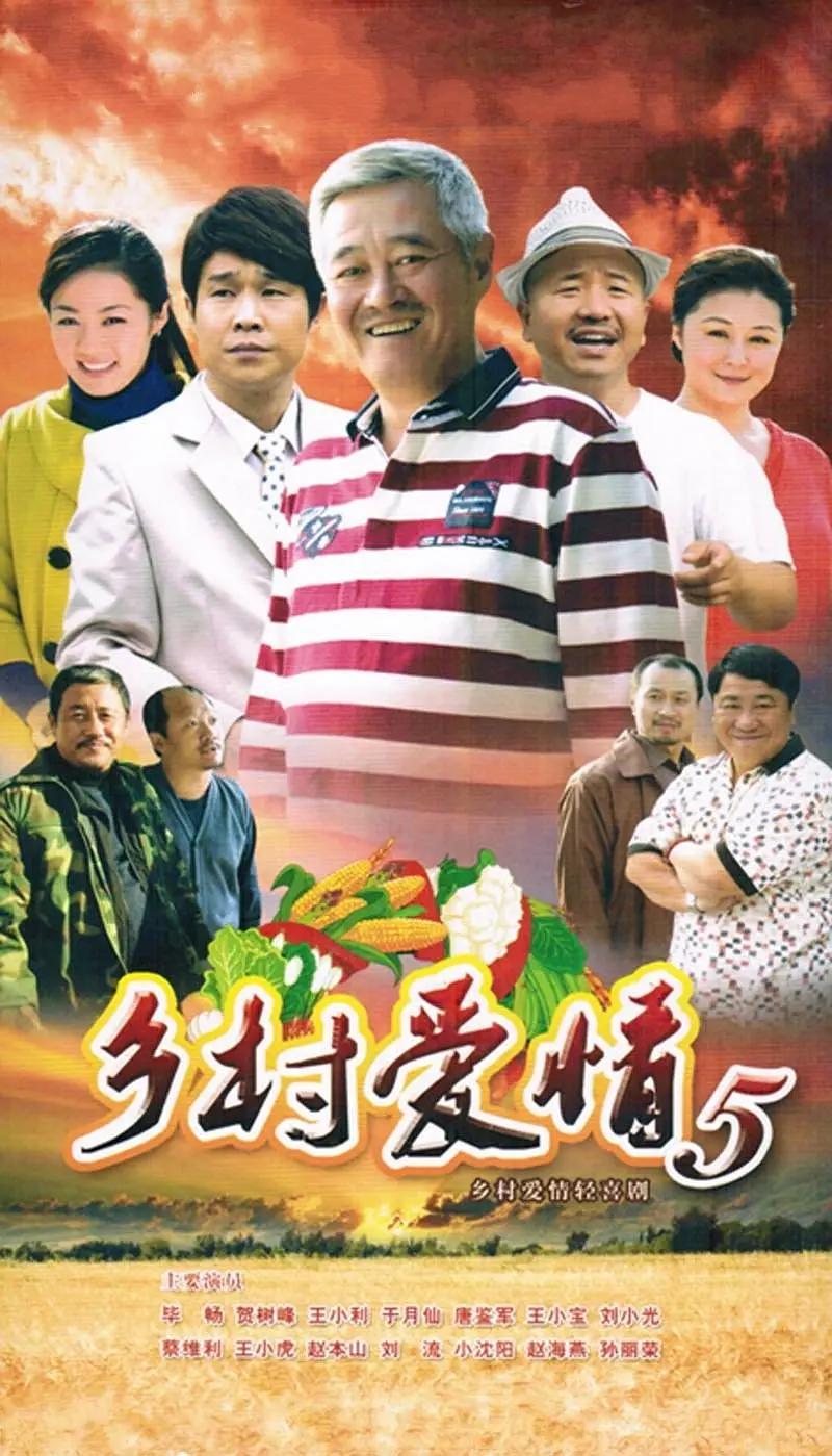 乡村爱情小夜曲海报