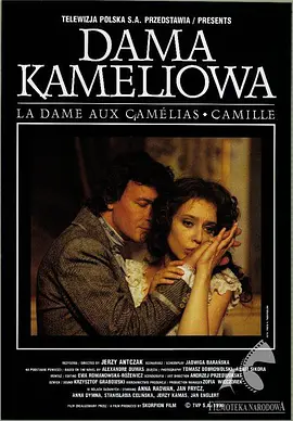 茶花女1995[电影解说]海报